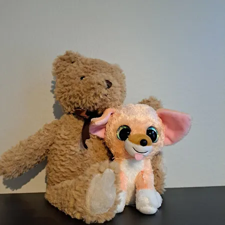 Apartment Ydinkeskustassa Saunallinen Kahdessa Tasossa *