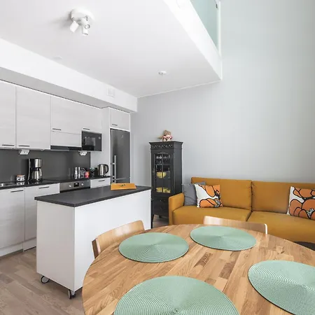 Apartment Ydinkeskustassa Saunallinen Kahdessa Tasossa